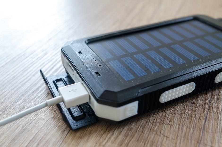 dual pro battery charger manual